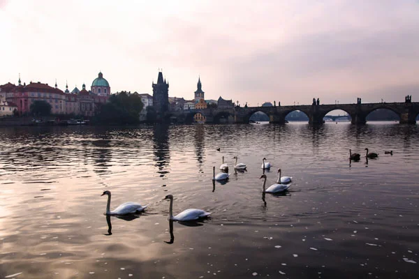 Prag gezi rehberi