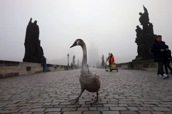 Prag