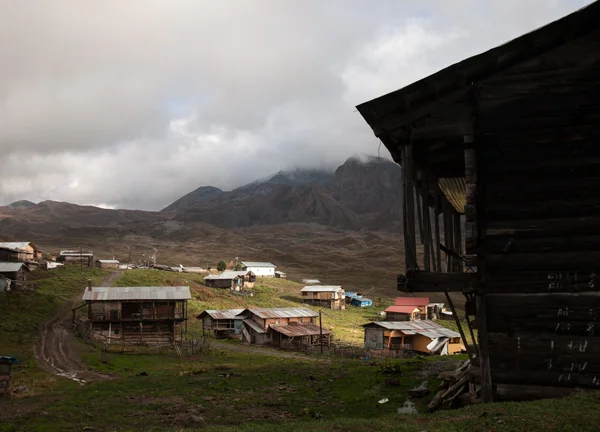 Şavşat