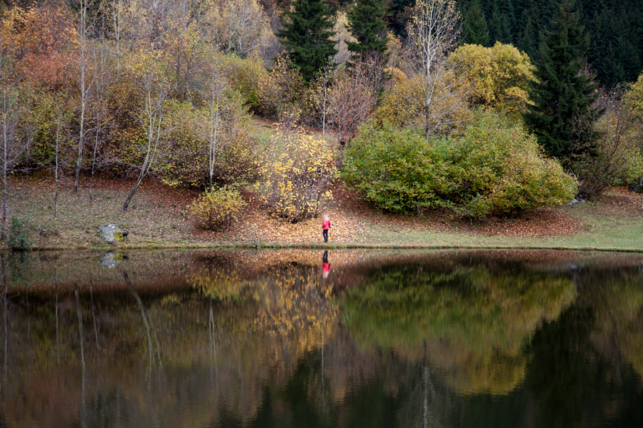 Artvin