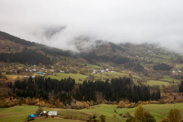 Şavşat
