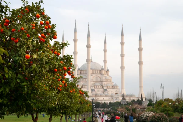 Adana gezilecek yerler