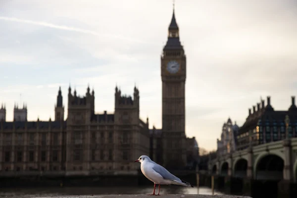 Londra gezi rehberi: Big Ben Kulesi