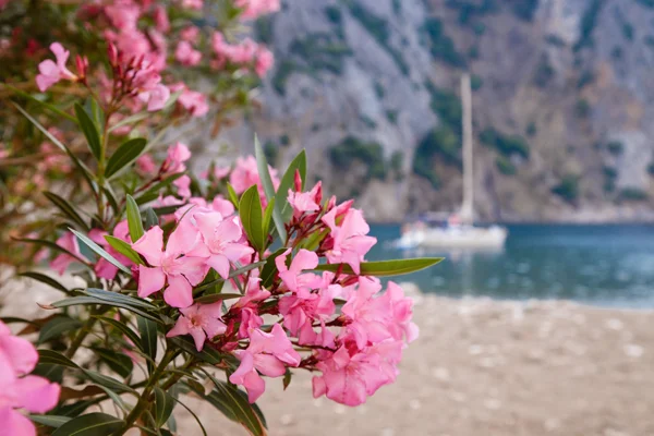 Antalya gezilecek yerler