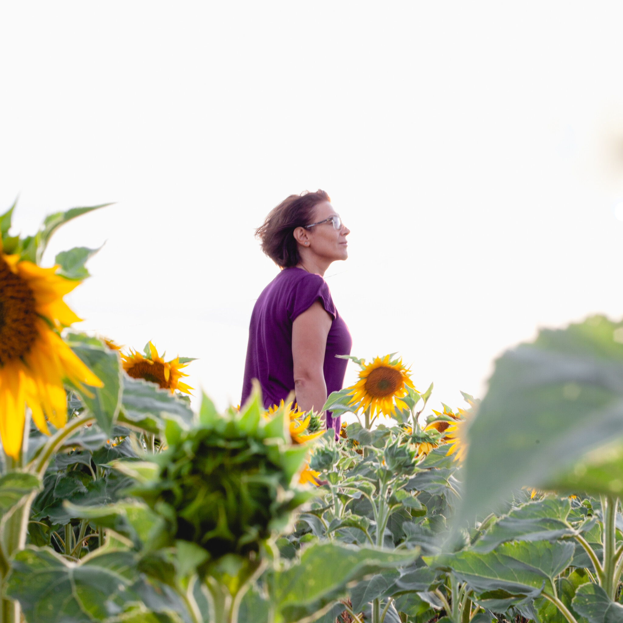 Kışın açan çiçekler - Her mevsim renkli bahçeler